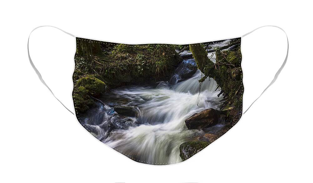 Stream Face Mask featuring the photograph Stream on Eume River Galicia Spain by Pablo Avanzini