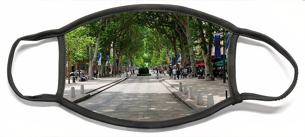 Photography Face Mask featuring the photograph Street Scene, Cours Mirabeau by Panoramic Images