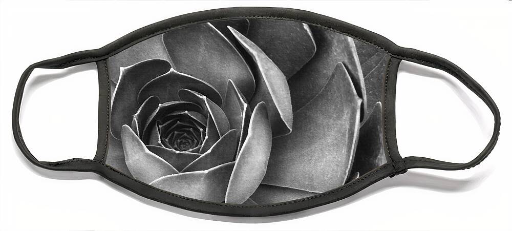 Botanical Macro Face Mask featuring the photograph Succulent In Black And White by Ben and Raisa Gertsberg