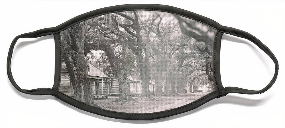 Architecture Face Mask featuring the photograph Sugar Cane Plantation by Jim Shackett