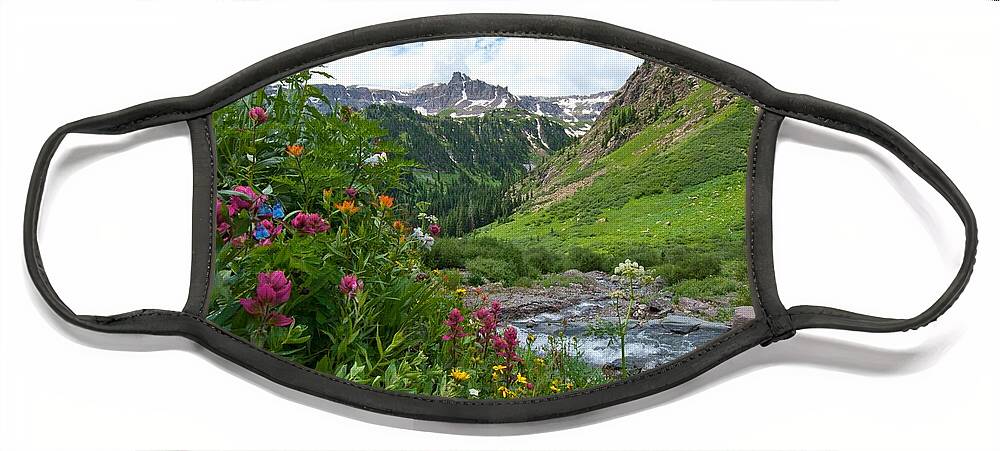 Landscape Face Mask featuring the photograph Summer in the San Juans by Cascade Colors
