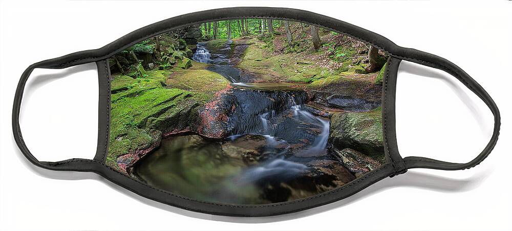 Summer Face Mask featuring the photograph Summer Streams at Mossy Glen by White Mountain Images