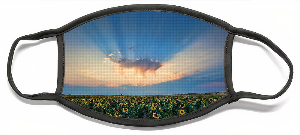 Flowers Face Mask featuring the photograph Sunflower Field at Sunset by Jim Garrison