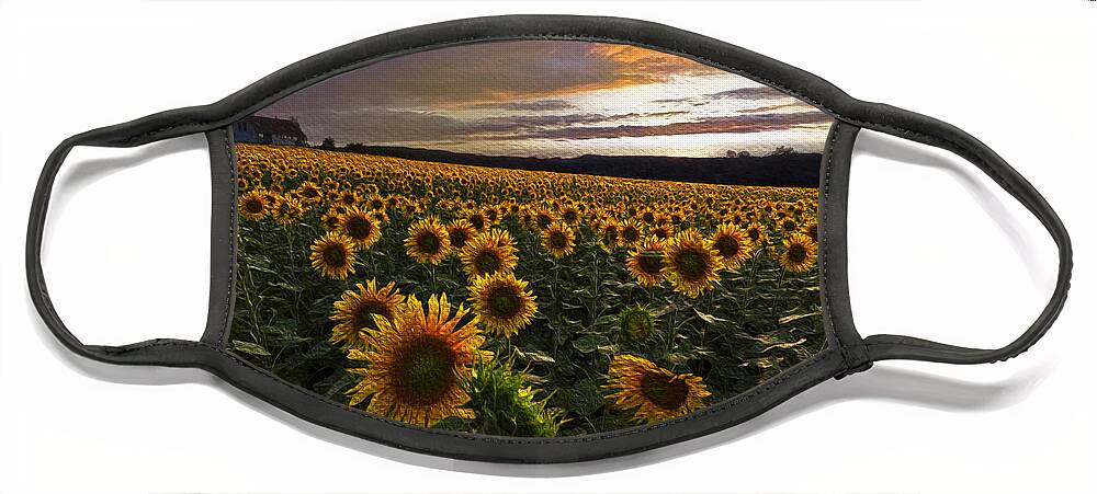 Appalachia Face Mask featuring the photograph Sunflowers Oil Painting by Debra and Dave Vanderlaan