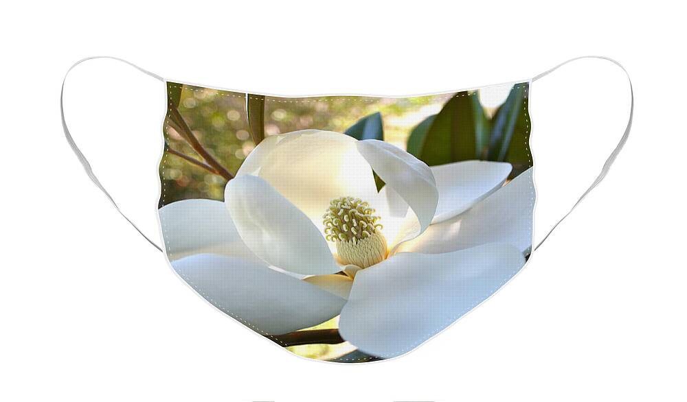 Floral Face Mask featuring the photograph Sunlit Southern Magnolia by Carol Groenen
