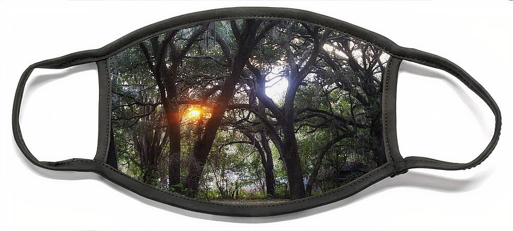 Florida Face Mask featuring the photograph Sunrise Through The Oaks by Janis Lee Colon