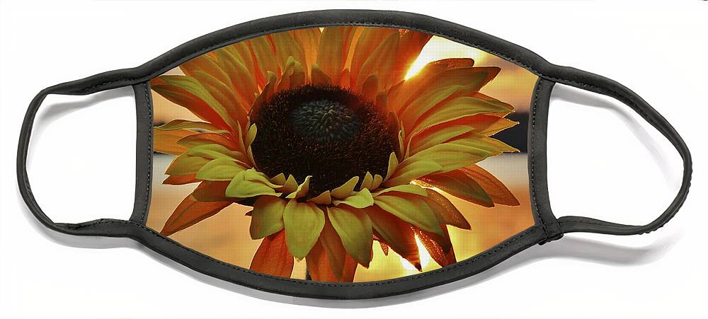 Maine Face Mask featuring the photograph Sunset Flower by Karin Pinkham