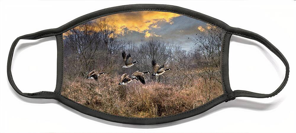 Sunset Face Mask featuring the photograph Sunset Geese by Christina Rollo
