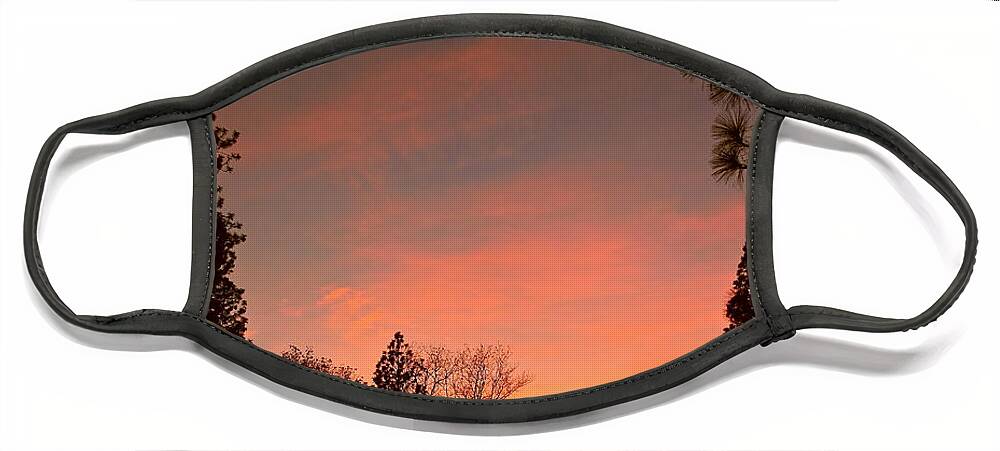 Sunset Face Mask featuring the photograph Sunset In Winter by Michele Myers