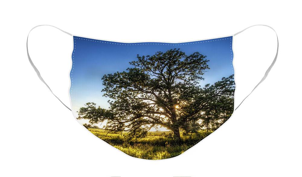 Sunset Face Mask featuring the photograph Sunset Oak by Scott Norris
