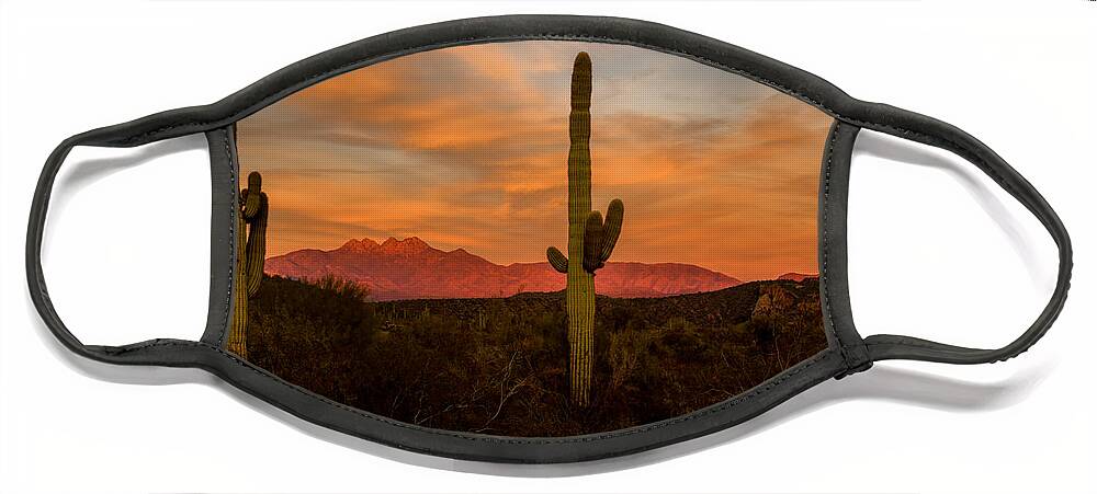 Arizona Face Mask featuring the photograph Sunset Sentinels by Mary Jo Allen