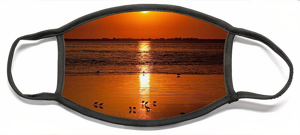Sunset Face Mask featuring the photograph Sunset with the Birds Photo by Meg Rousher