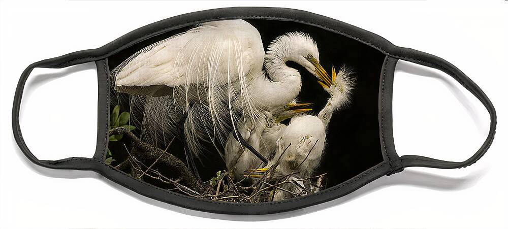 Great Egret Face Mask featuring the photograph Suppertime by Priscilla Burgers