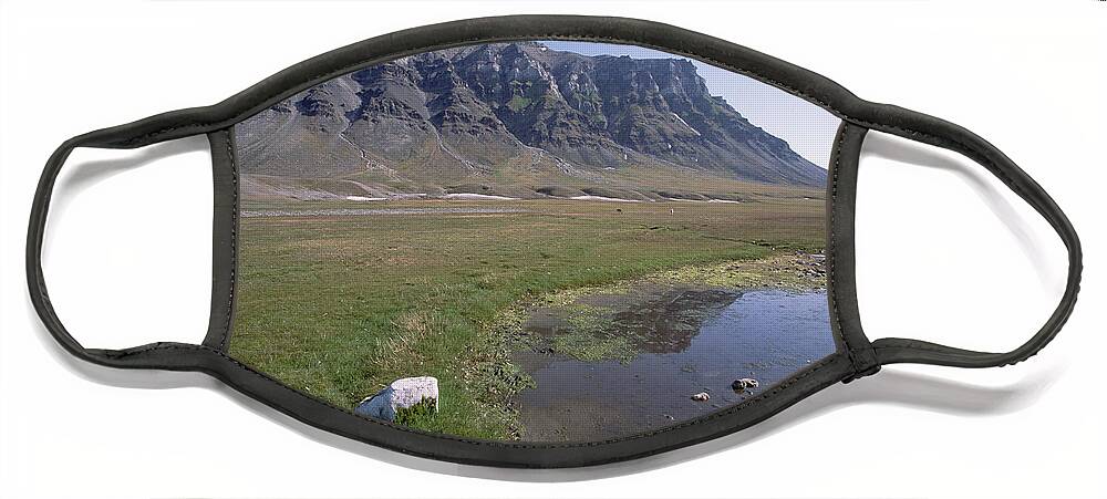 Feb0514 Face Mask featuring the photograph Svalbard Reindeer In Arctic Meadow by Tui De Roy