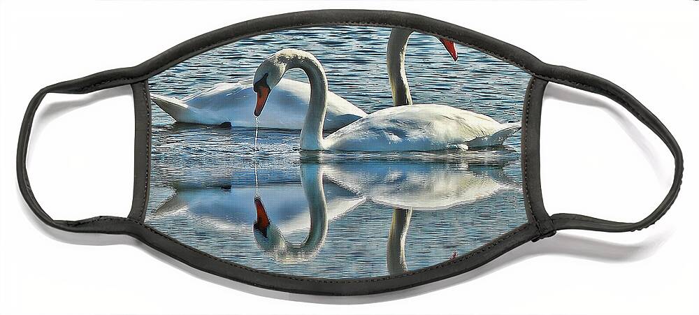 Swan Face Mask featuring the photograph Swan Love by Andrea Kollo
