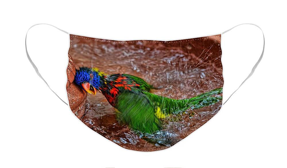 Lorikeet Face Mask featuring the photograph The Best Party Ever by Olga Hamilton