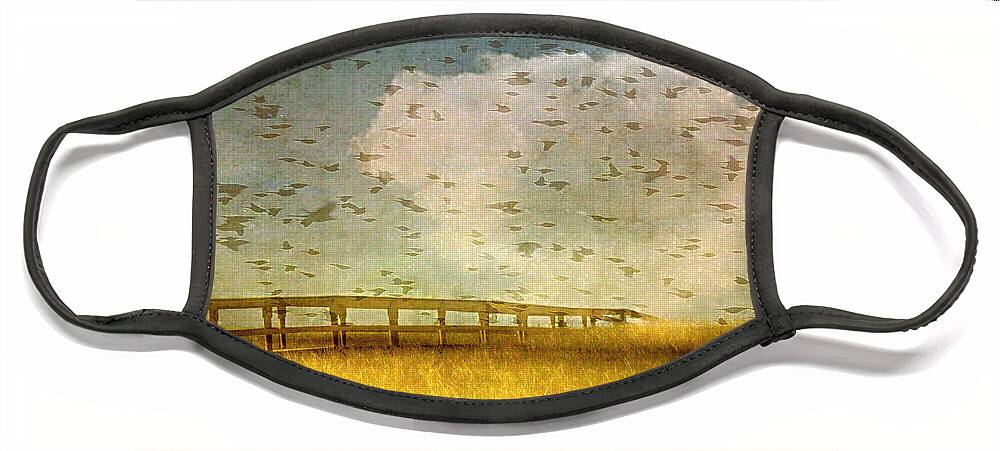 Bird Art Face Mask featuring the photograph Sky with birds and clouds by Marysue Ryan