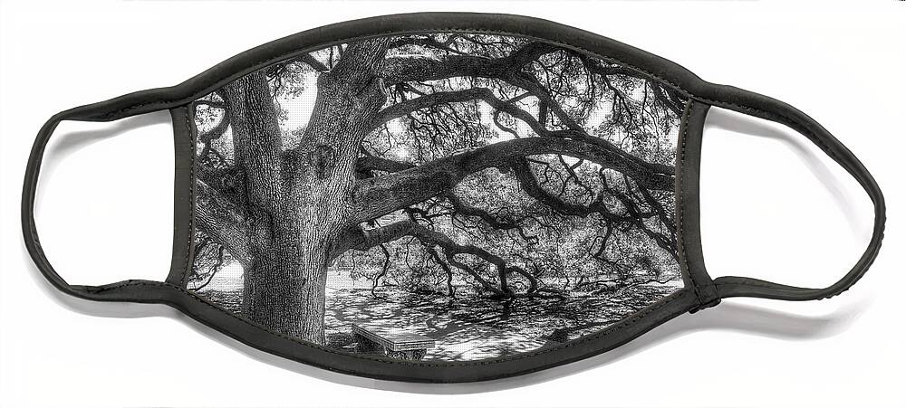 Tree Face Mask featuring the photograph The Century Oak by Scott Norris