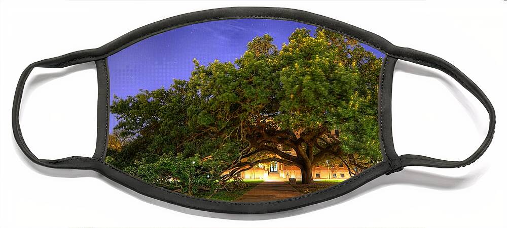 The Century Tree Face Mask featuring the photograph The Century Tree by David Morefield