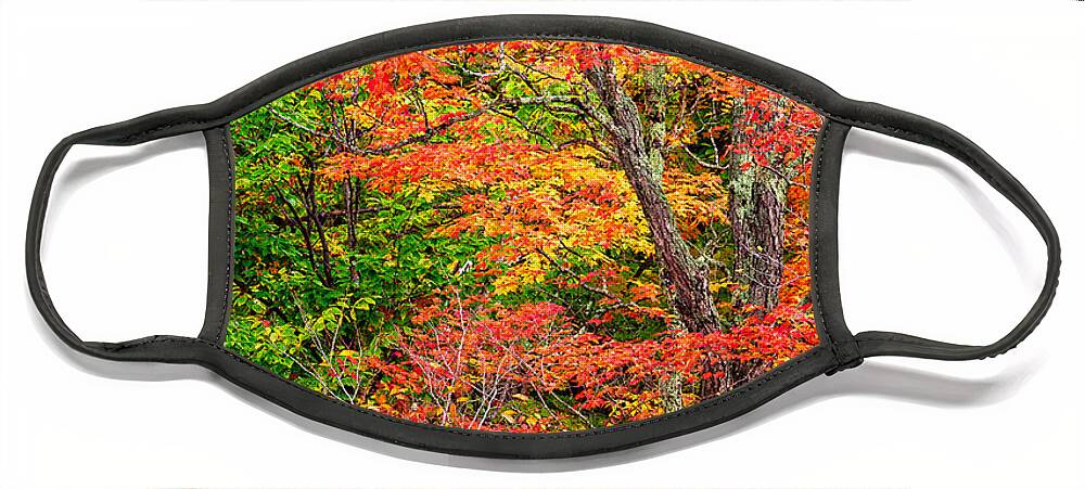 Kancamagus Face Mask featuring the photograph The Colors Of Autumn by Jeff Sinon