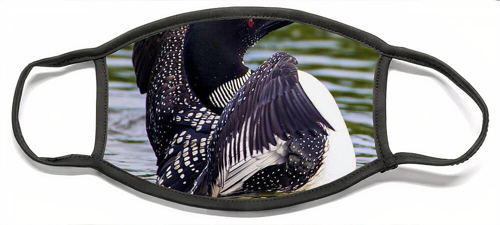 Bird Face Mask featuring the photograph The Common Loon by Bill and Linda Tiepelman