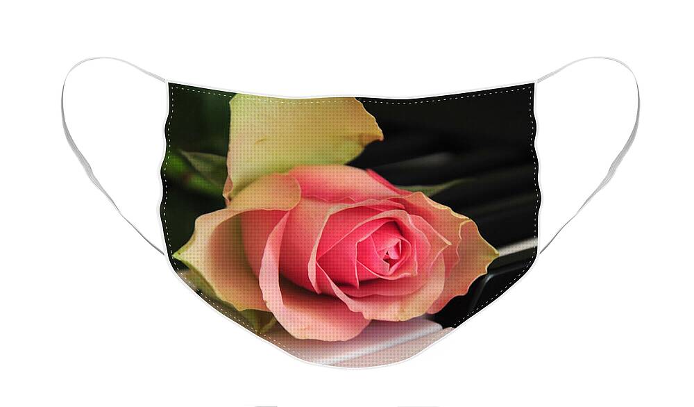 Rose Face Mask featuring the photograph The Delicate Rose by Randi Grace Nilsberg