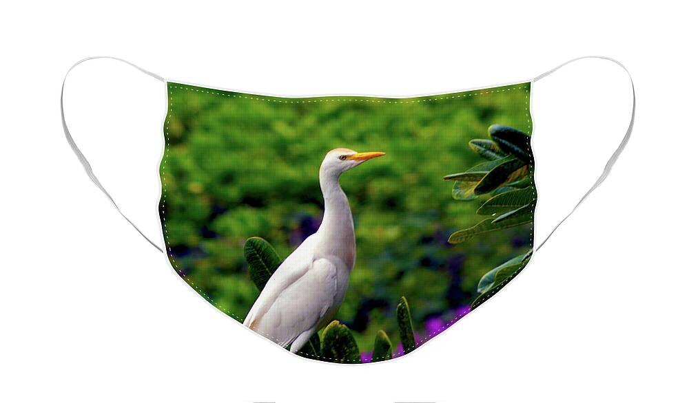 Fine Art Photography Face Mask featuring the photograph The Egret Outside My Window by Patricia Griffin Brett