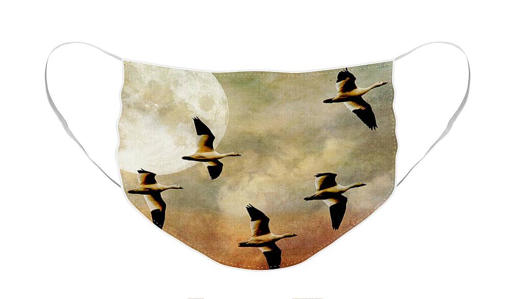 Birds Face Mask featuring the digital art The Flight Of The Snow Geese by Lois Bryan