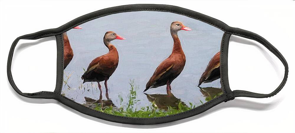 Black-bellied Whistling Ducks Face Mask featuring the digital art The Gathering by Jayne Carney