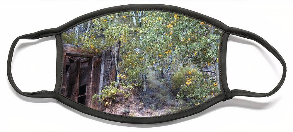 Colorado Face Mask featuring the photograph The Mine Shaft by Lana Trussell