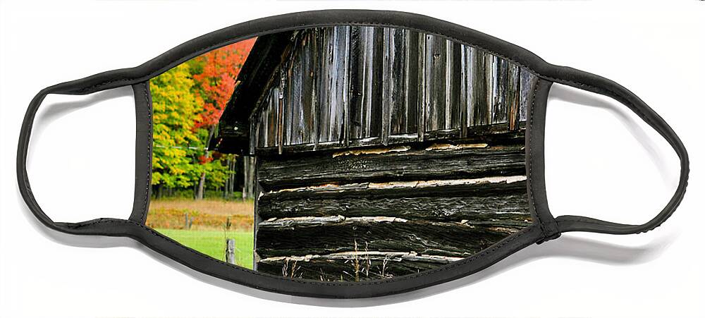 Weathed Wood Face Mask featuring the photograph The Old Back Shed by Gwen Gibson