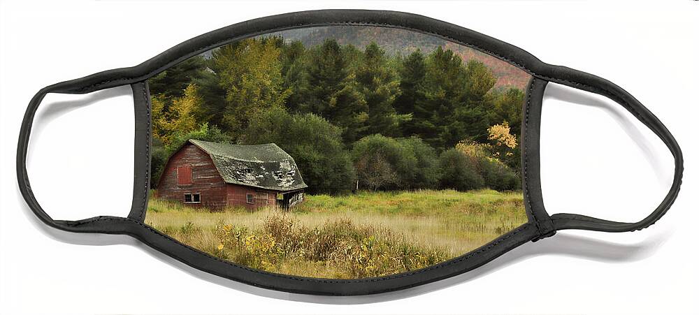 Adirondacks Face Mask featuring the photograph The Old Barn by Nancy De Flon