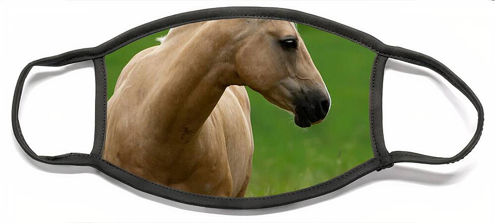 Pale Brown Horse Face Mask featuring the photograph The Pale Brown Horse by Torbjorn Swenelius
