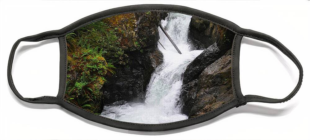 Water Face Mask featuring the photograph Forest Waterfall by Kirt Tisdale
