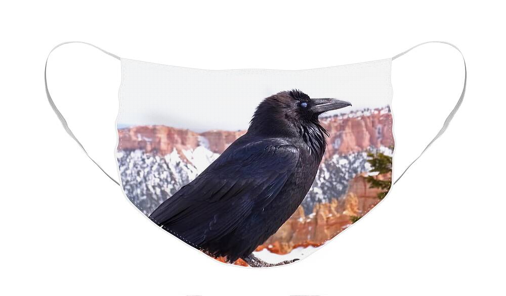 Raven Face Mask featuring the photograph The Raven by Rona Black