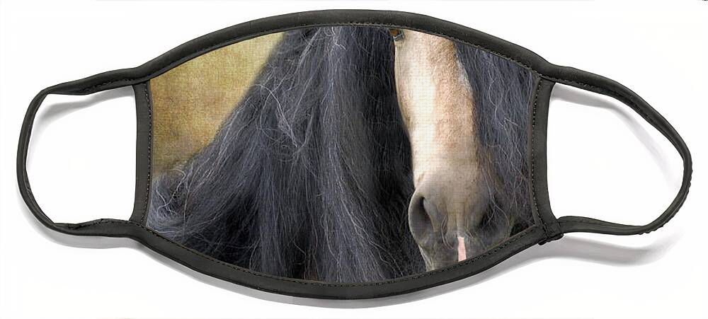 Stallion Face Mask featuring the photograph The Stallion by Fran J Scott