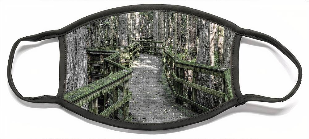 Florida Face Mask featuring the photograph The Straight and Narrow by Debra and Dave Vanderlaan