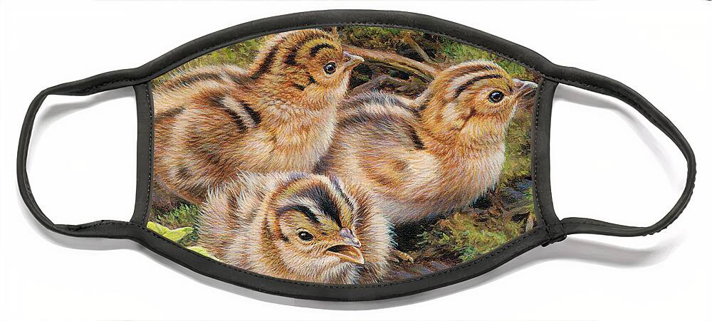Animal Face Mask featuring the photograph Three Pheasant Chicks In Grass by Ikon Ikon Images