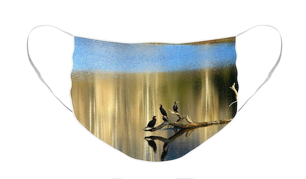 Cormorants Face Mask featuring the photograph Different Perspectives by Michelle Twohig