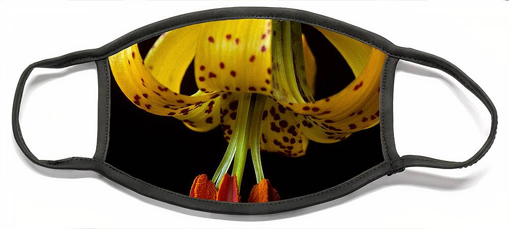 Beauty In Nature Face Mask featuring the photograph Tiger Lily by Jeff Goulden