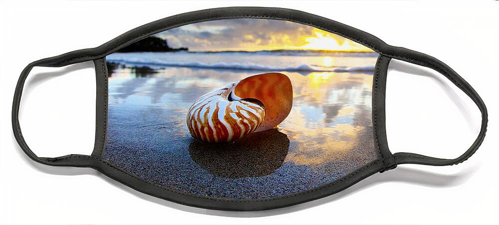 Tiger Nautilus Face Mask featuring the photograph Tiger Nautilus Sunrise by Sean Davey