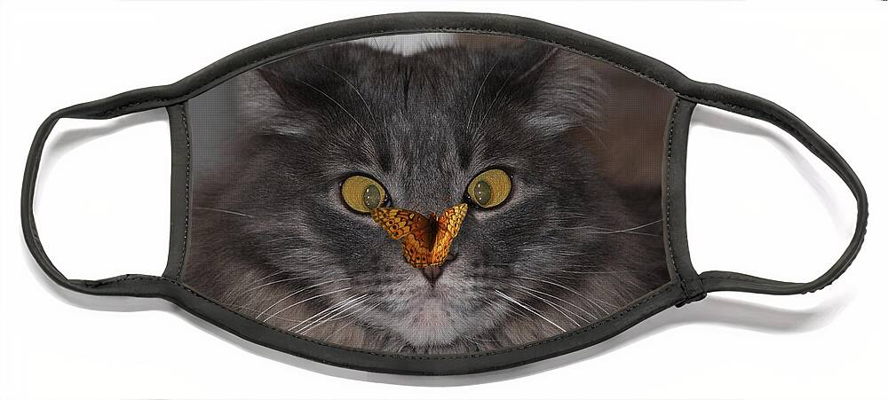 Cat Face Mask featuring the photograph Tolerance by Shane Bechler