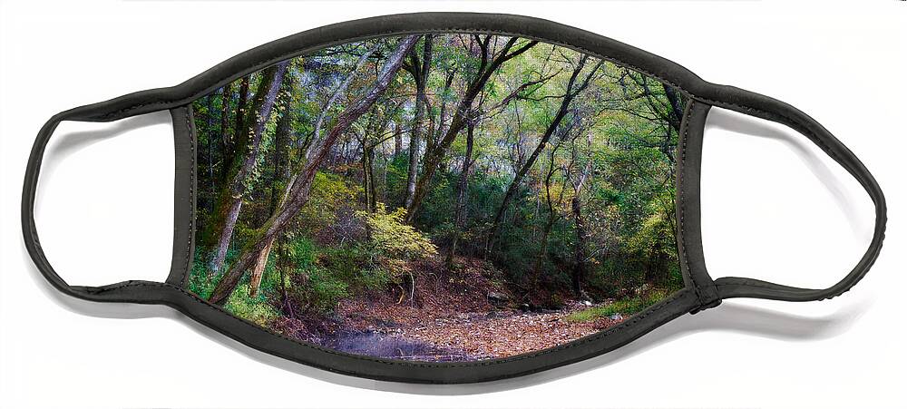 Arkansas Face Mask featuring the photograph Touch of Fall by Lana Trussell