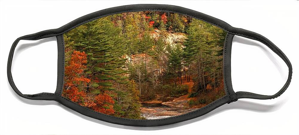 Carol R Montoya Face Mask featuring the photograph Toxaway River In Autumn by Carol Montoya