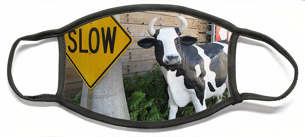 Abstract Face Mask featuring the photograph Traffic Cow by Dart Humeston