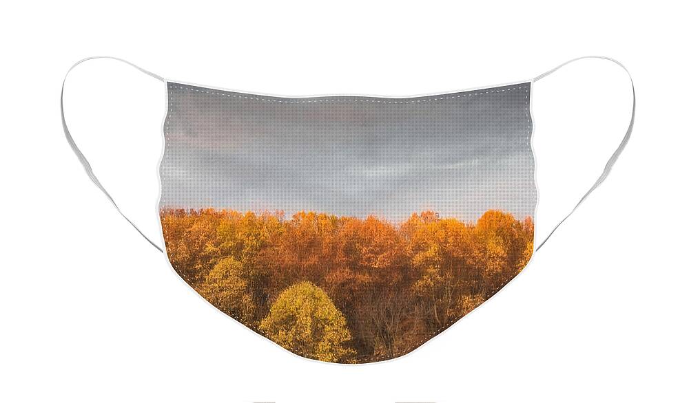 Tree Face Mask featuring the photograph Tree Line In Autumn by Gary Slawsky