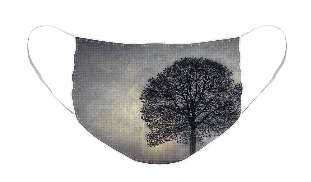 Tree Face Mask featuring the photograph Tree of Life by Scott Norris