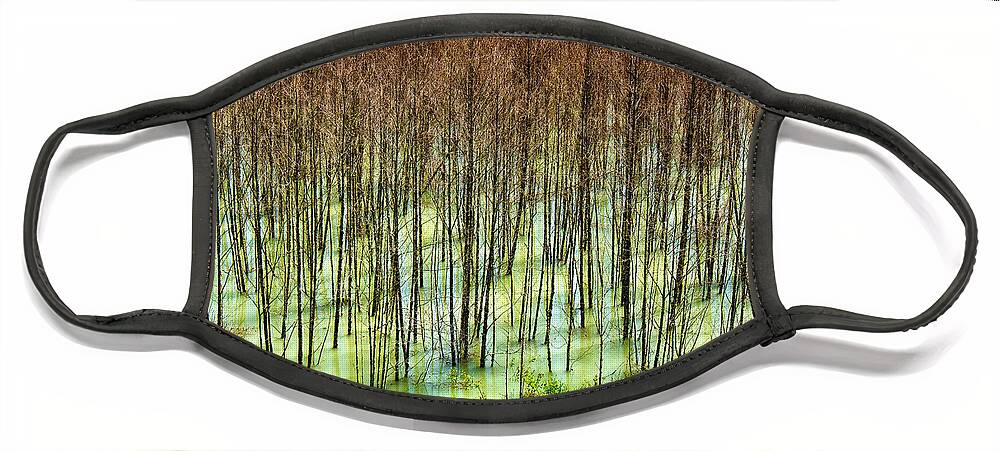 Trees Face Mask featuring the photograph Trees Near Mt. St. Helens by Niels Nielsen