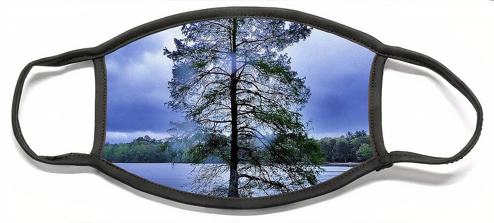 Bald Cypress Tree Face Mask featuring the photograph The Healing Tree - Trap Pond State Park Delaware by Kim Bemis