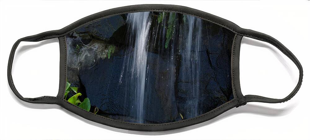 Waterfall Face Mask featuring the photograph Tropical Waterfall by Laurel Best